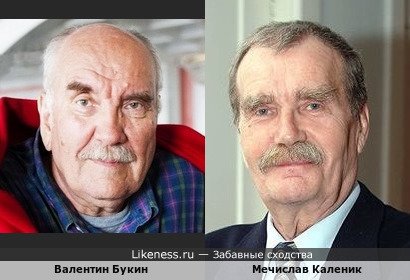 Валентин Букин похож на Мечислава Каленика