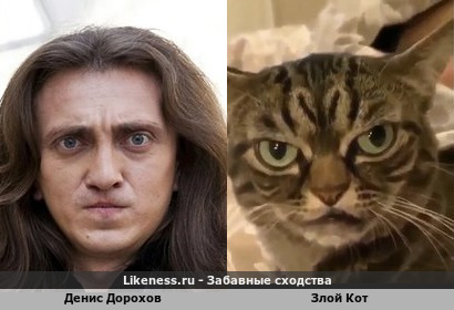 Денис Дорохов похож на Злого Кота