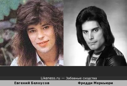 Евгений Белоусов похож на Фредди Меркьюри в молодости