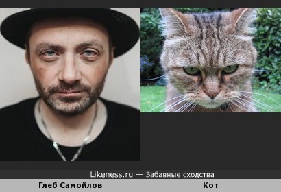Глеб Самойлов похож на кота
