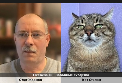 Олег Жданов похож на Кота Степана