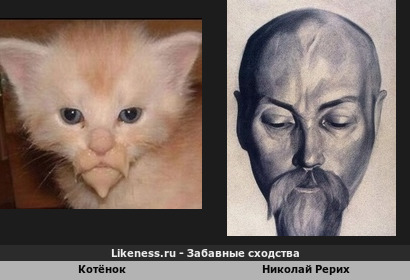 Котёнок похож на Николая Рериха
