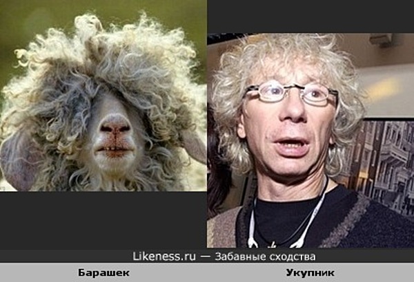 Барашек-Укупник :) Барашек-Укупник :)