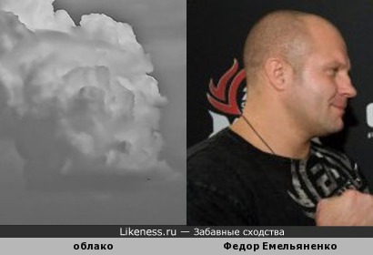 Облако похожее на Федора Емельяненко