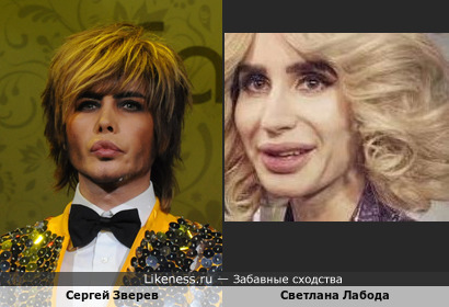 Светлана Лабода похожа на Сергея Зверева