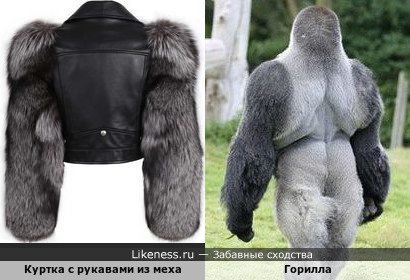 Куртка с рукавами из меха напоминает гориллу