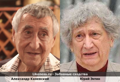 Александр Каневский похож на Юрия Энтина