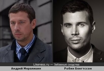 Андрей Мерзликин похож на Робина Бенгтссона