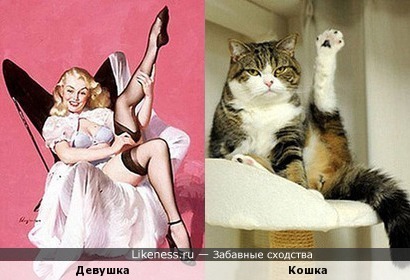Женщины-кошки
