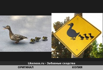 Утки на дороге / Дорожный знак