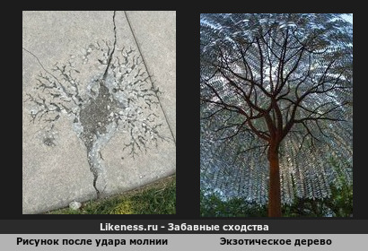 Рисунок на камне после удара молнии напоминает экзотическое дерево!