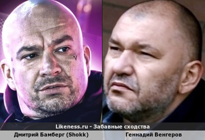 Дмитрий Бамберг (Shokk) похож на Геннадия Венгерова