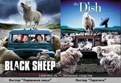 Постер &quot;Паршивая овца&quot; похож на постер &quot;Тарелка&quot;.