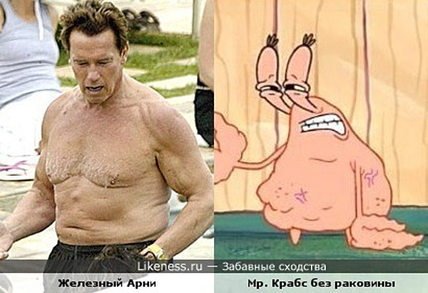 Шварц VS Крабс Шварц VS Крабс