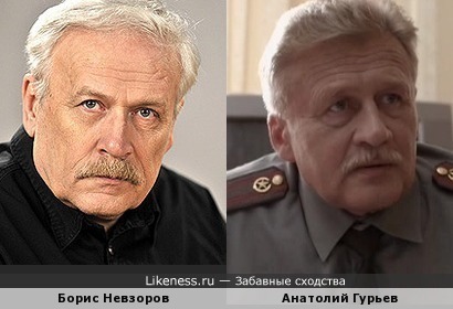 Борис Невзоров похож на Анатолия Гурьева