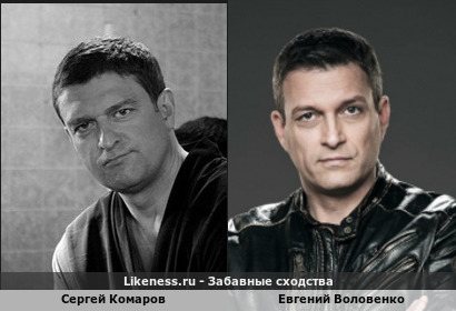 Сергей Комаров похож на Евгения Воловенко
