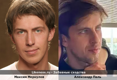 Максим Меркулов похож на Александра Паля