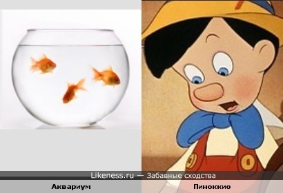 Рыбки в аквариуме рисуют лицо Пиноккио