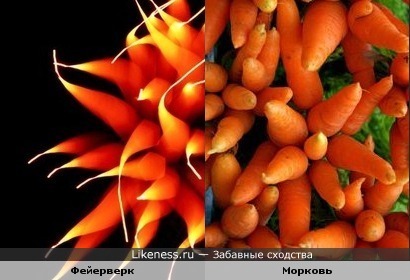 Фейерверк, снятый с большой выдержкой, похож на морковь