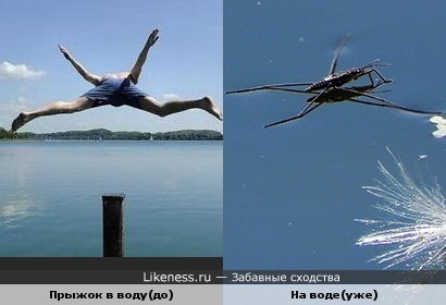 Прыжок в воду до и после
