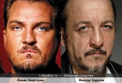 Черты лица музыканта Йонаса Берггрена (Ace Of Base) и актера Виктора Терели похожи