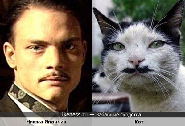 Евгений Ткачук в сериале "Жизнь и приключения Мишки Япончика" и кот Евгений Ткачук в сериале "Жизнь и приключения Мишки Япончика" и кот