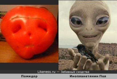Инопланетяне в помидорах