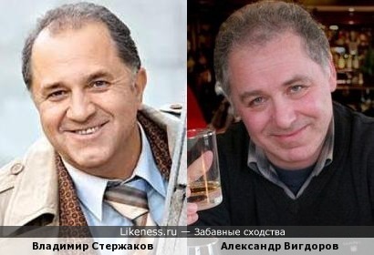 Александр Вигдоров похож на Владимира Стержакова