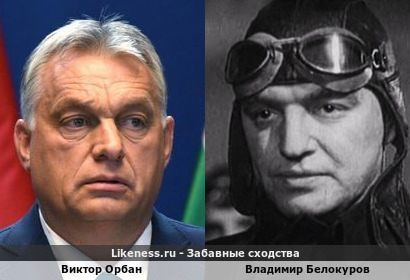 Виктор Орбан похож на Владимира Белокурова