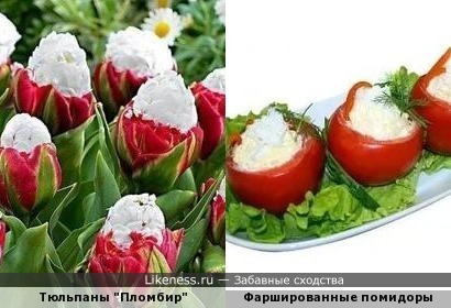 Тюльпаны напоминают фаршированные помидоры