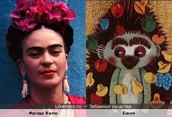 Ежик из мультфильма напомнил Фриду Кало Ежик из мультфильма напомнил Фриду Кало