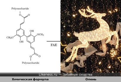 химическая формула полисахарида напоминает оленя