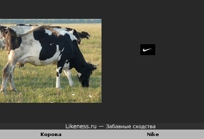 Скрытая реклама на корове