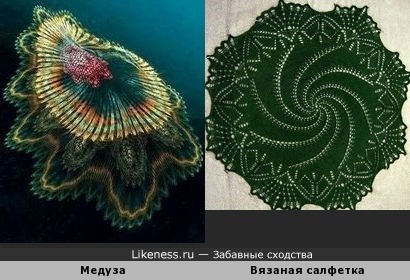 Медуза - салфетка