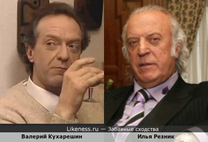 Валерий Кухарешин похож на Илью Резника
