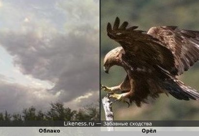 Облако - Орёл