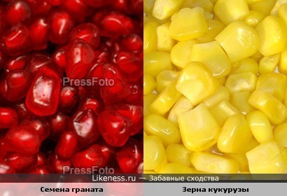 гранатовые семена похожи на зерна кукурузы, только цвет разный)))