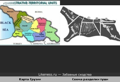 Схема разделки туши и карта Грузии