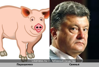 Петр Парашенко похож на свинью