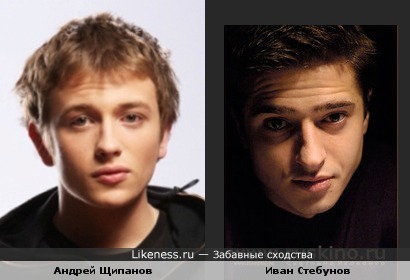 Андрей Щипанов и Иван Стебунов похожи