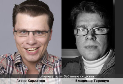 Владимир Терещук похож на Гарика Харламова