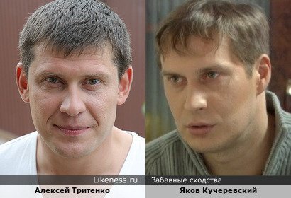 Алексей Тритенко похож на Якова Кучеревского