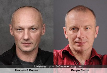 Николай Козак похож на Игоря Сигова