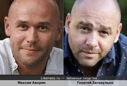 Максим Аверин похож на Георгия Загорулько