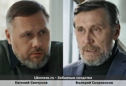 Евгений Синчуков похож на Валерия Скорокосова