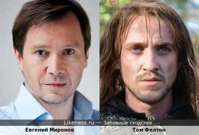 Евгений Миронов похож на Тома Фелтона