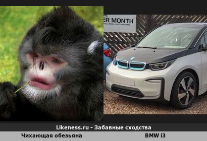 Электромобиль BMW i3 похож на чихающую обезьяну