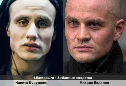 Никита Кукушкин похож на Михаила Евланова