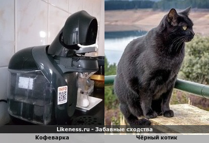 Кофеварка похожа на чёрного кота