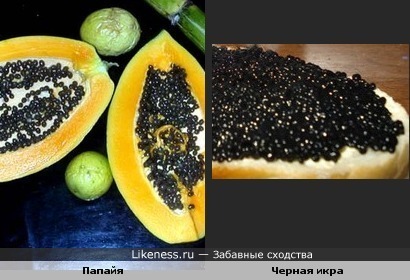 Зерна папайи похожи на зерна черной икры